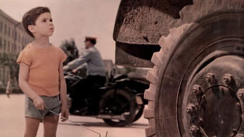 Der Sonne entgegen Bild 4