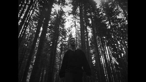 Una Fortuna da Re Bild 1