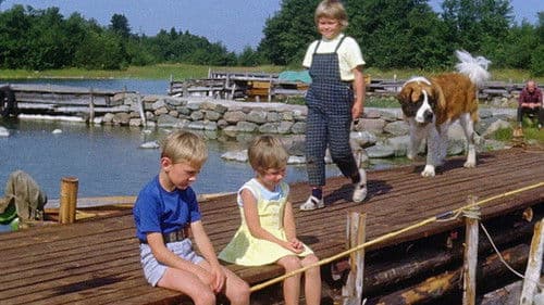 Ferien auf der Kräheninsel Bild 2