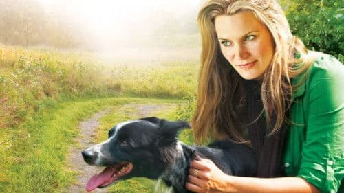 You Lucky Dog Bild 1