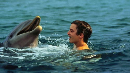 Flipper Bild 8