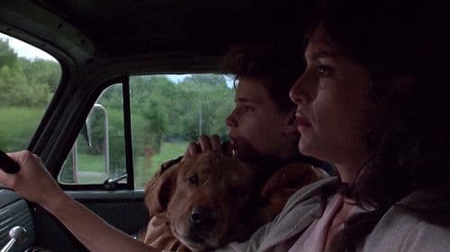 Watchers - Gnadenlos gejagt Bild 8