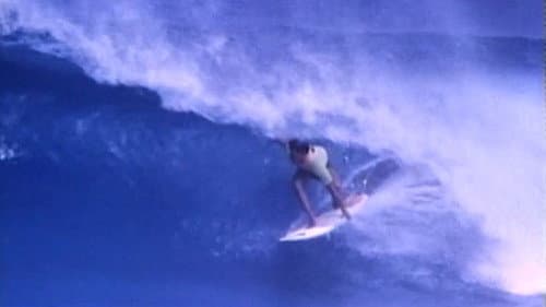 Gone Surfin' Bild 1