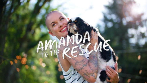 Amanda to the Rescue Bild 2