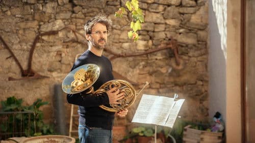 Los destellos Bild 6