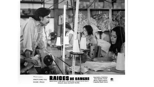 Raíces de sangre Bild 1