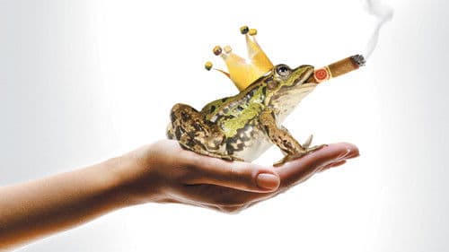 Un Prince (presque) charmant Bild 4