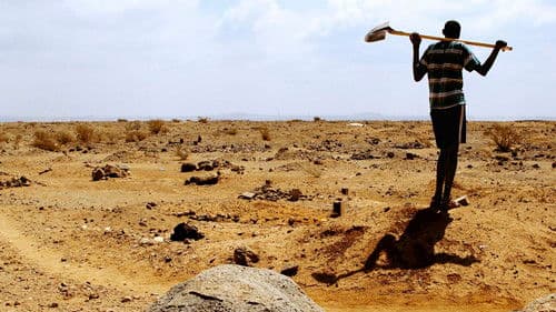 Die Frau des Totengräbers Bild 2
