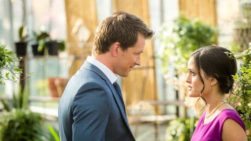 Eine perfekte Hochzeit Bild 6