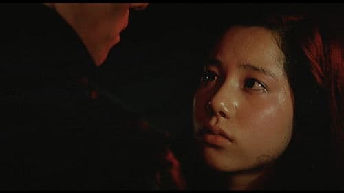 十代　－恵子の場合－ Bild 2