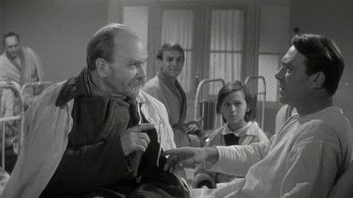 Зимнее утро Bild 2