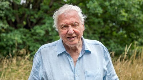 Ein perfekter Planet Bild 8