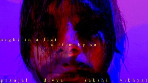 NIGHT IN A FLAT Bild 6