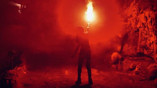 Crocodile Swarm Bild 2