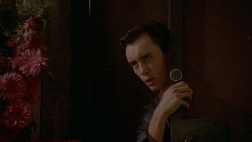 Frightmare - Alptraum Bild 1