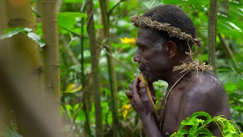 사운드 오브 뮤직: 음악의 탄생 Bild 1