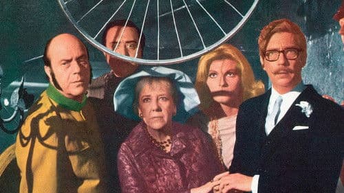 Las siete vidas del gato Bild 1