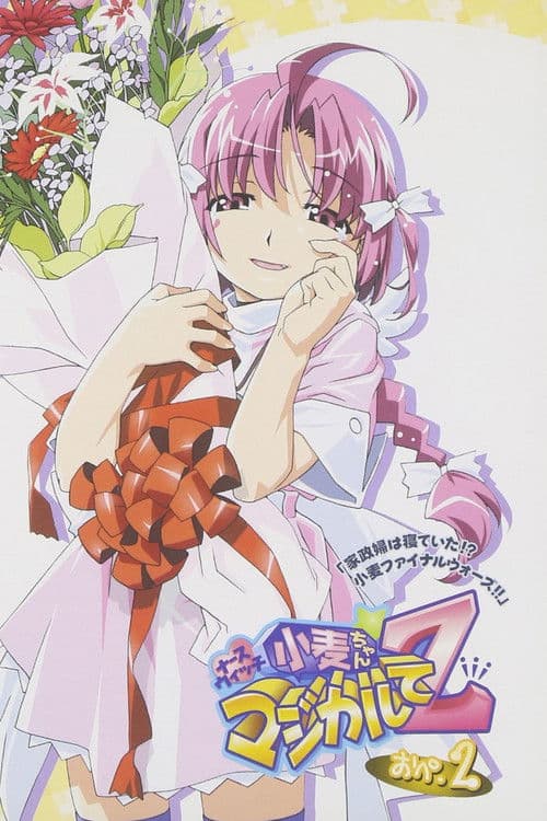 ナースウィッチ小麦ちゃんマジカルてＺ