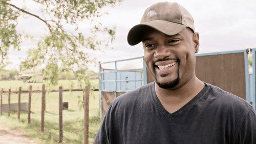 Steps of Faith Bild 4