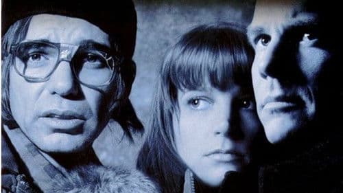 Ein einfacher Plan Bild 8