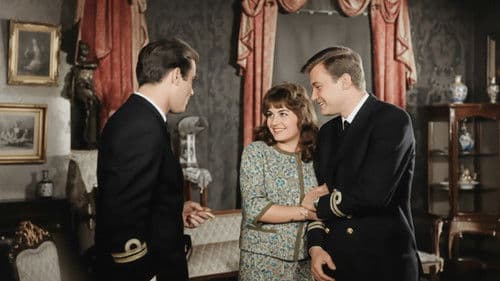 Melekler Şahidimdir Bild 2