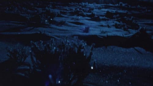 Swimming Stone Bild 2