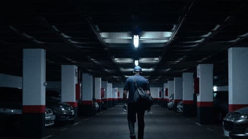 Die schwarze Witwe Bild 5