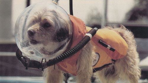 Benji at Marineland Bild 2