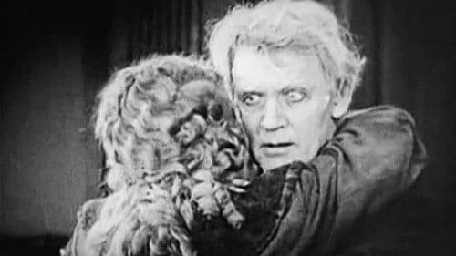 Tess of the Storm Country Bild 6