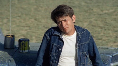 Badlands - Zerschossene Träume Bild 3