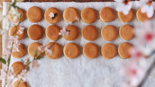 Kirschblüten und rote Bohnen Bild 8