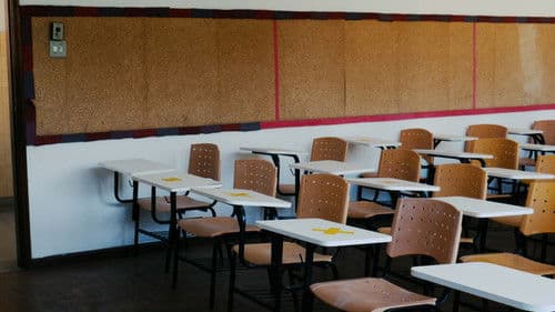 Amaro: O Colégio da Memória Bild 8