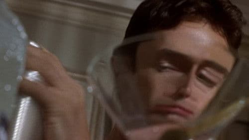 Ein Freund zum Verlieben Bild 2