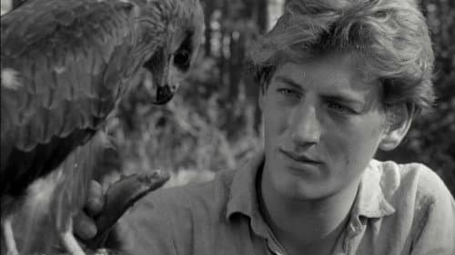 Płyną tratwy Bild 1