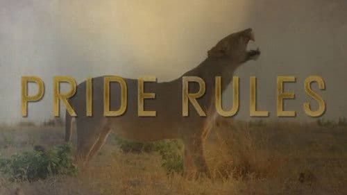 Pride Rules Bild 2