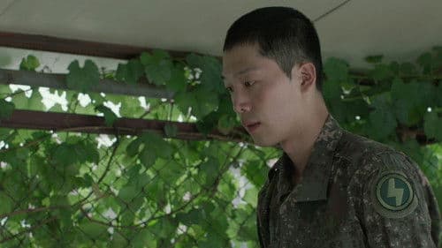 폭력의 씨앗 Bild 6