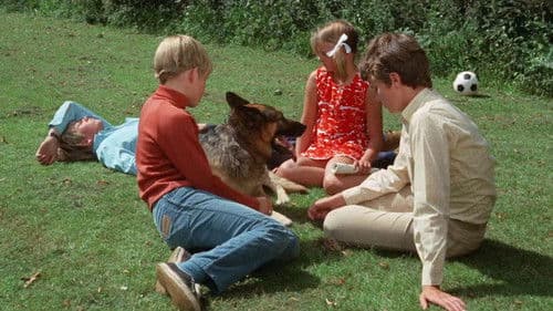 5 Freunde in der Tinte Bild 1