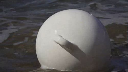 Mémoire de mer Bild 3