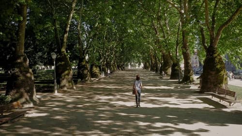 Tábuas com História Bild 2