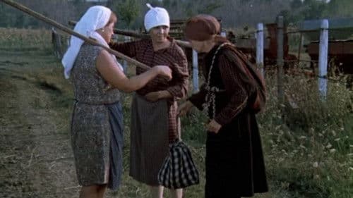 Матриархат Bild 1