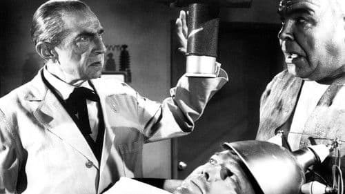 Die Rache des Würgers Bild 2