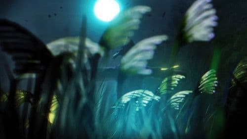 A Night With Moosina Bild 8