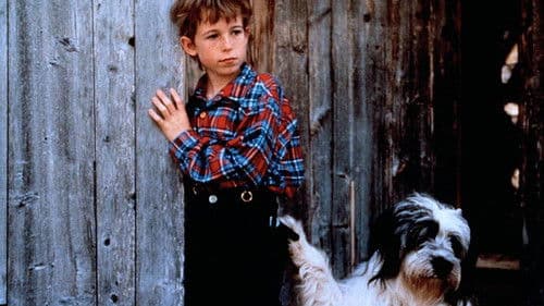 Weihnachten mit Willy Wuff Bild 1