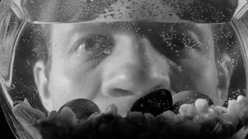 Der Tiger von New York Bild 6