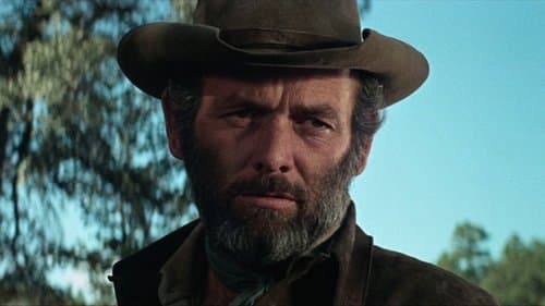 Macho Callahan Bild 1