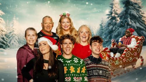 24 stjerners julekalender Bild 4