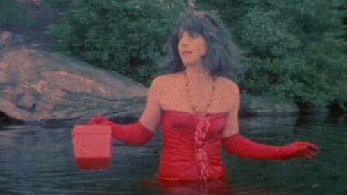 Beautiful People Bild 1