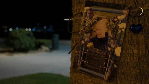 Mallorca: de nacht en de nasleep Bild 2