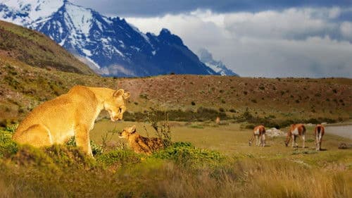 Unsere wunderbaren Nationalparks Bild 3