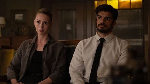 The Turkish Detective Bild 5